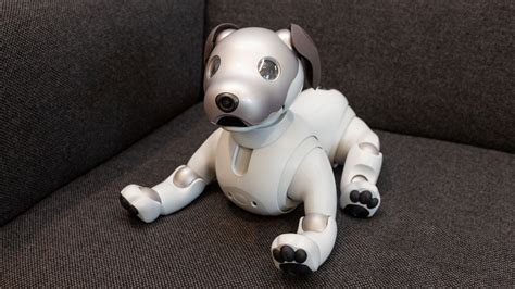 robot dog|Sony Aibo Review: What It’s Like To Live With a .
